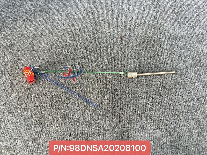 98DNSA20208100（1）-水印版.jpg
