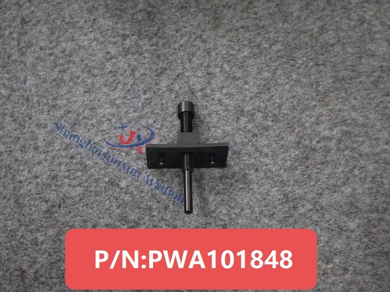 PWA101848 (1) - edición de marca de agua.