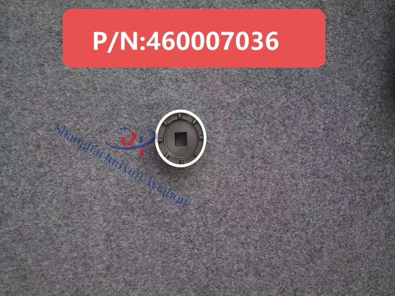 Details for 460007036