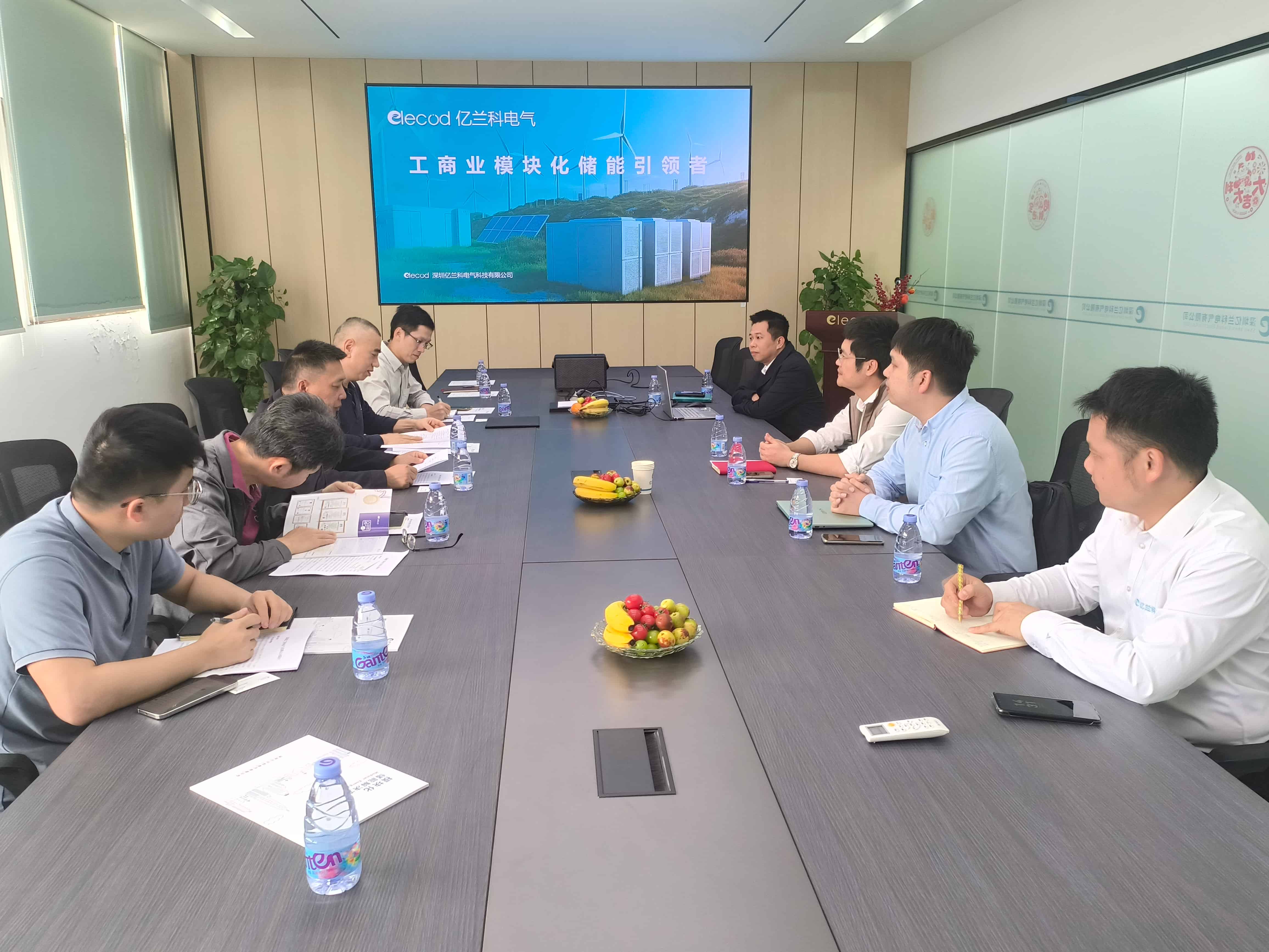 Government officials and Elecod senior management are discussing.jpg