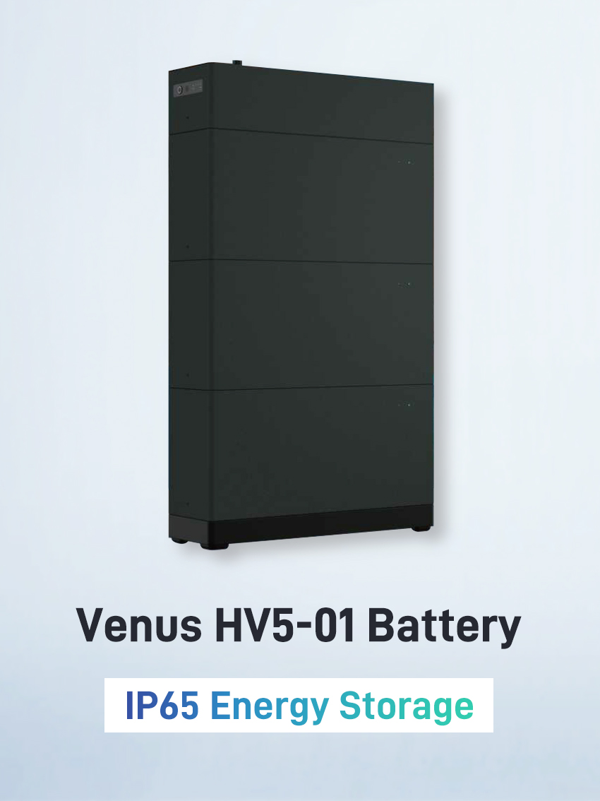 Venus HV5-01 Battery.jpg