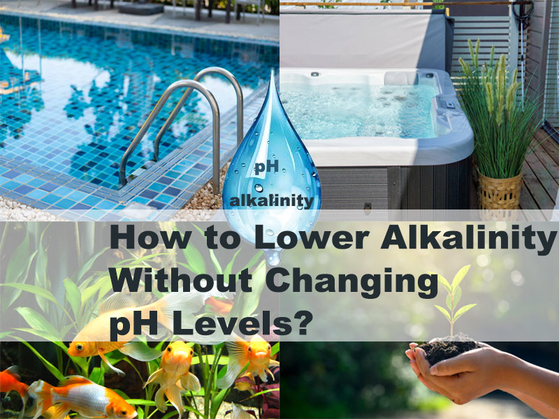 How to Lower Alkalinity Without Changing pH Levels.jpg