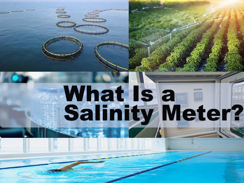 What Is a Salinity Meter?