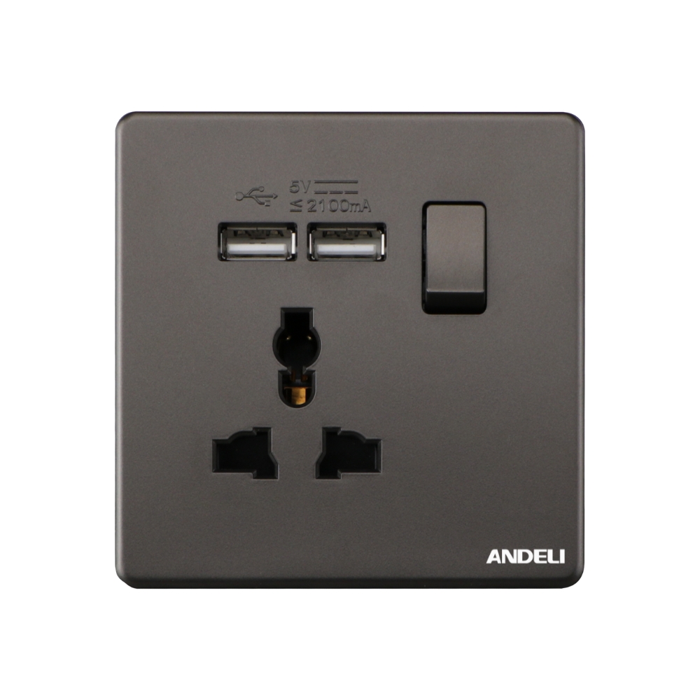 Delta Multi Functional Switched Socket with 2 USB Ports Gray.jpg