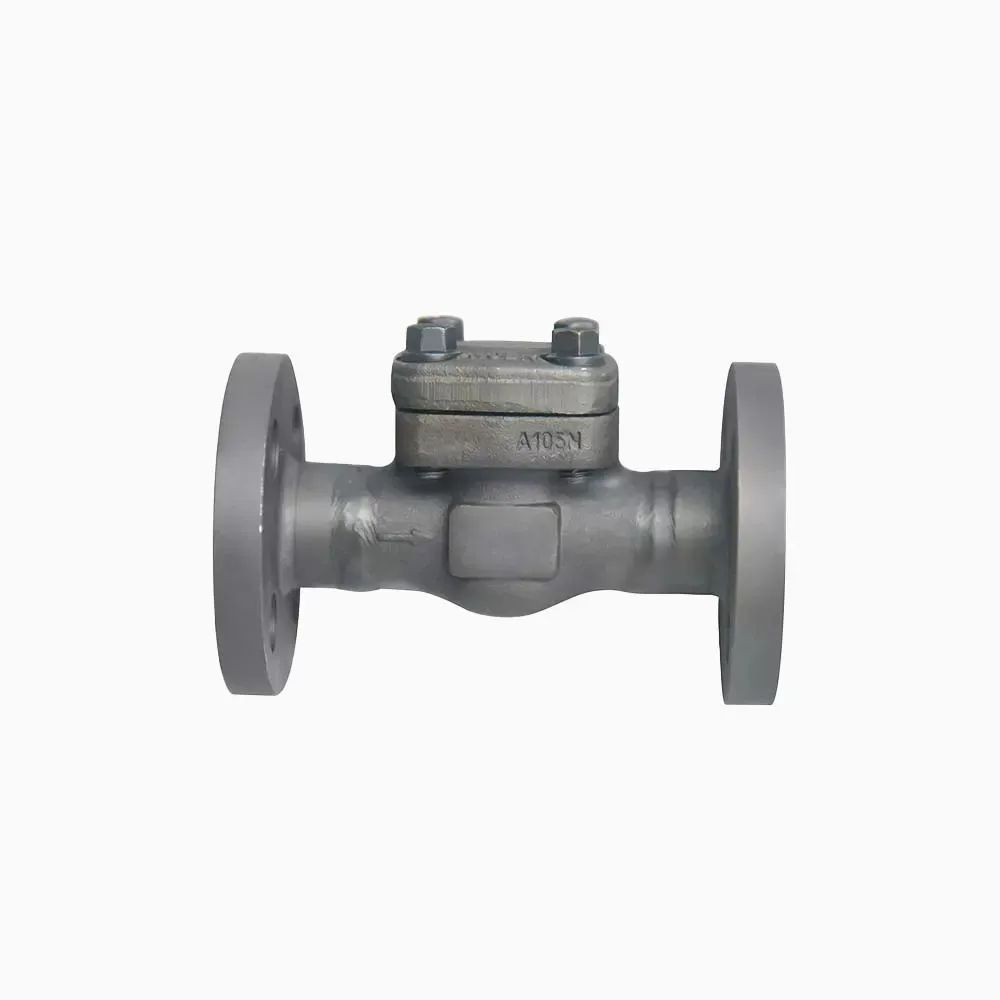 Check Valve-Tianyu