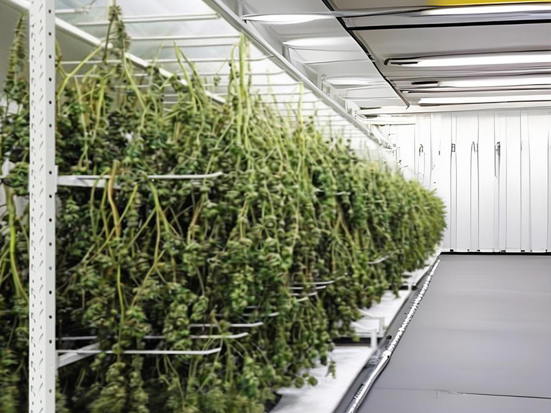 Harvesting