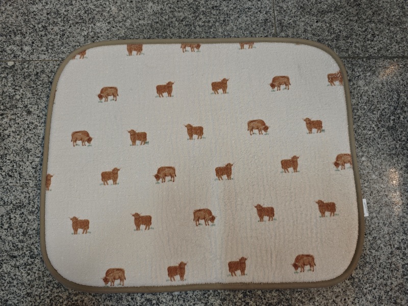 Dish Drying Mat 1.jpg