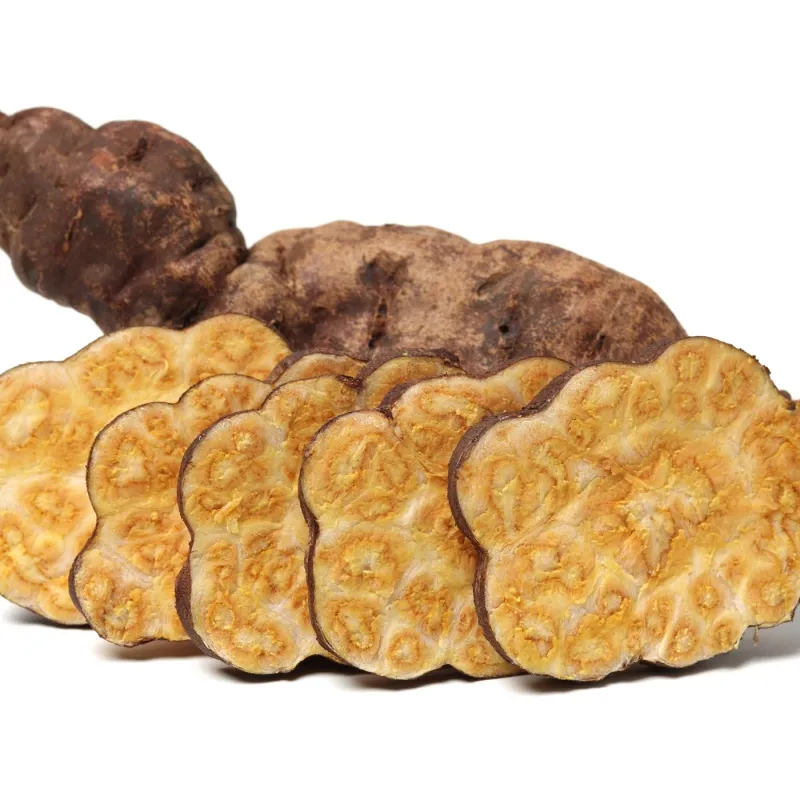 何首乌提取物.JPG