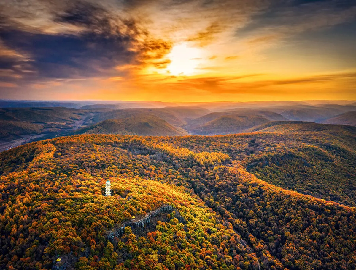 Mudan Peak Nature Reserve