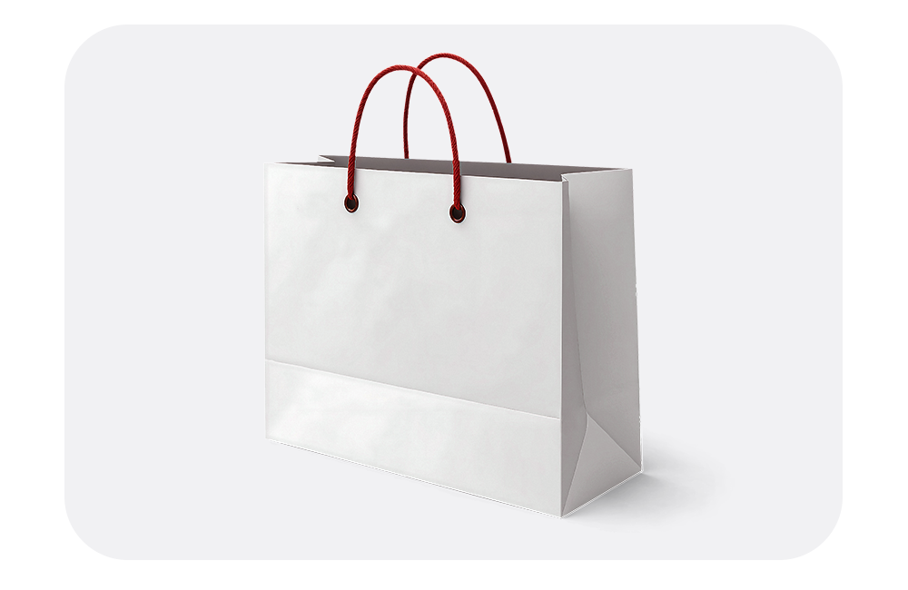 Cardboard Bag