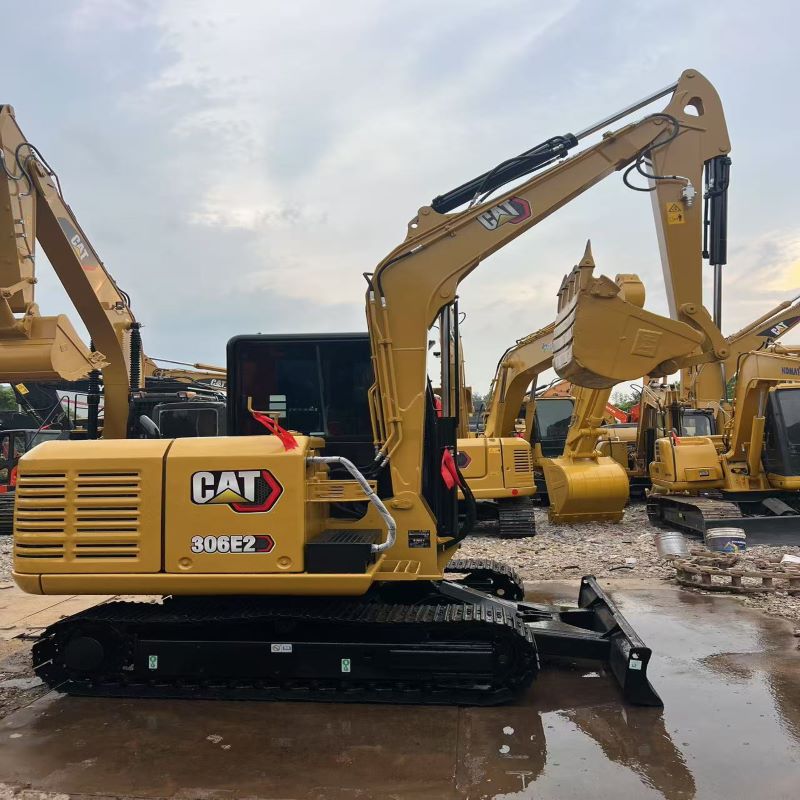 cat306e2.jpg