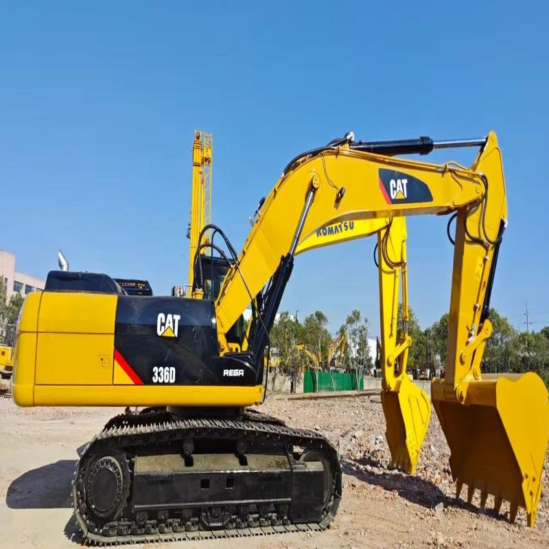 cat336d.jpg