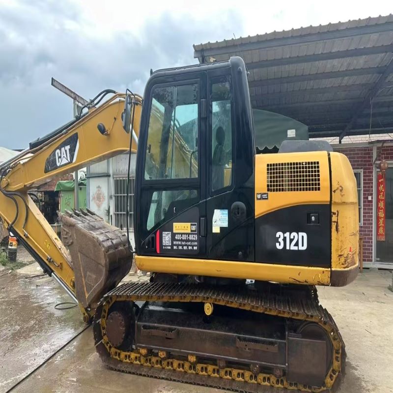 cat312d.jpg