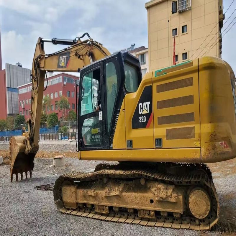 cat320.jpg
