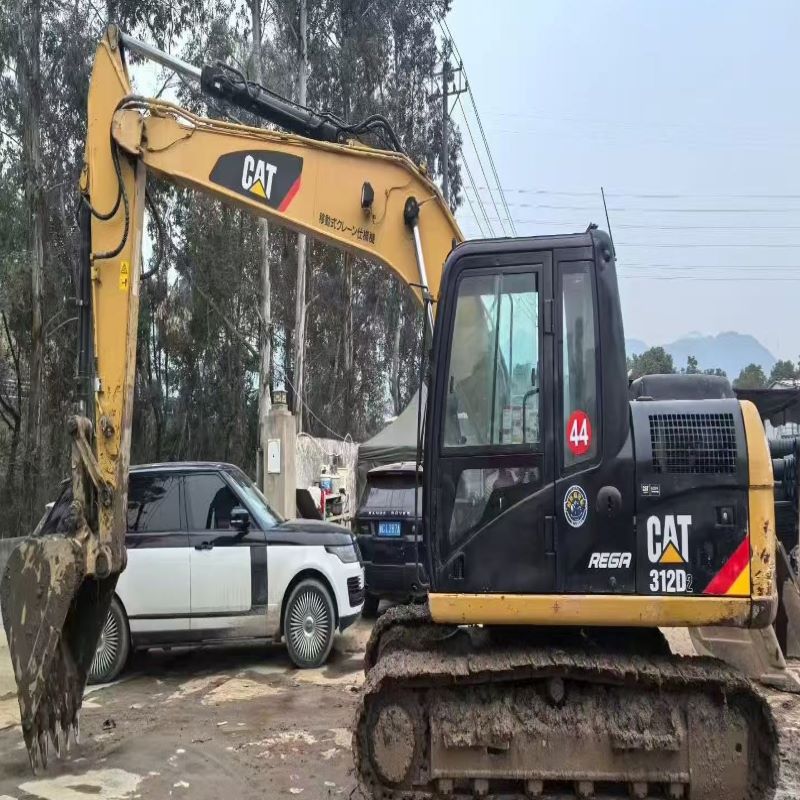 cat312d2.jpg