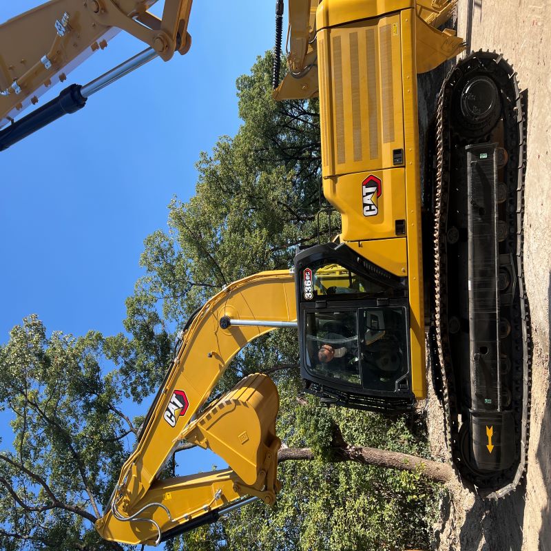 WeChat image _ 20251113113709 _ 1164 _ 3