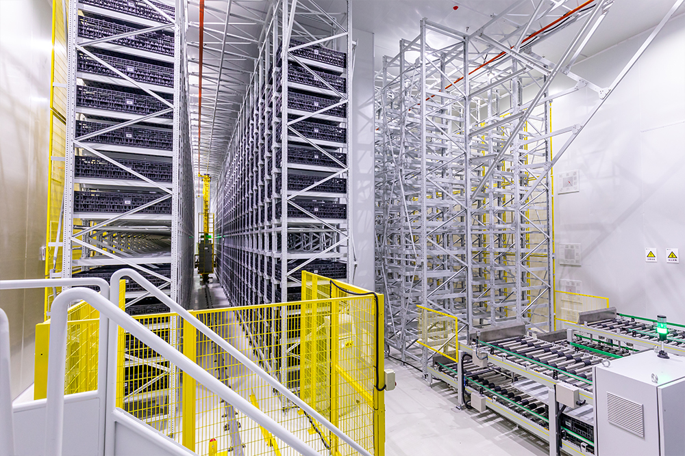 174A2041_0007_图层 0.jpg