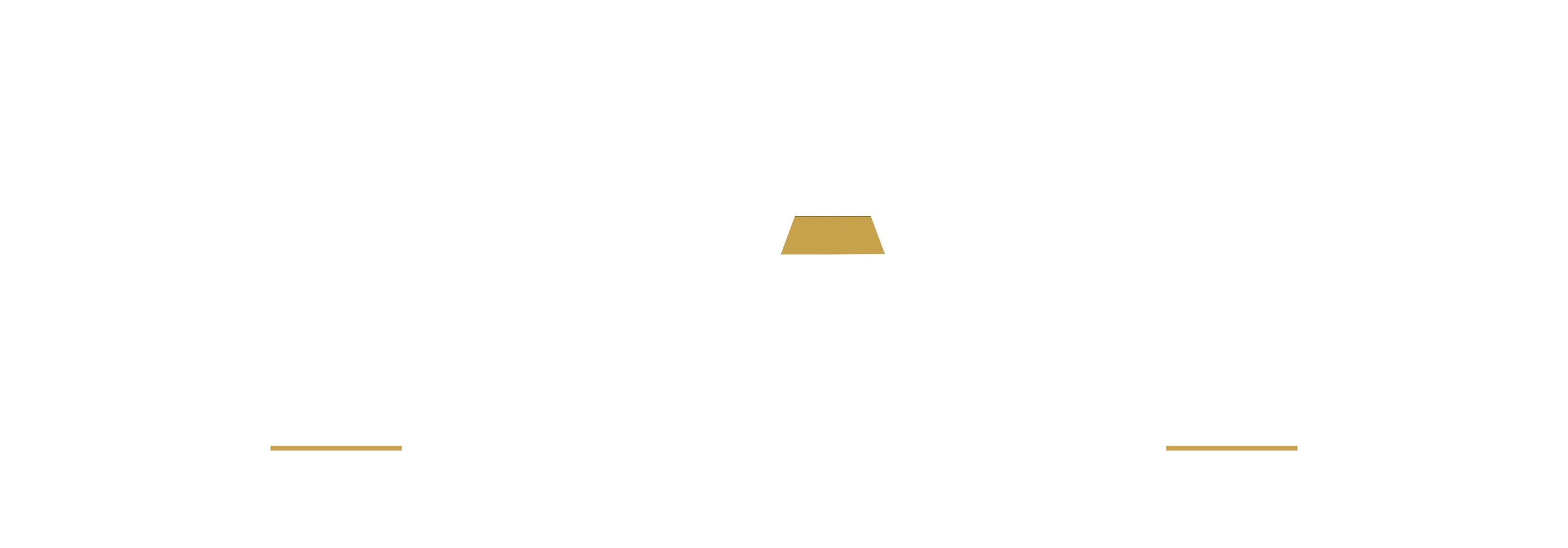 YICARB®