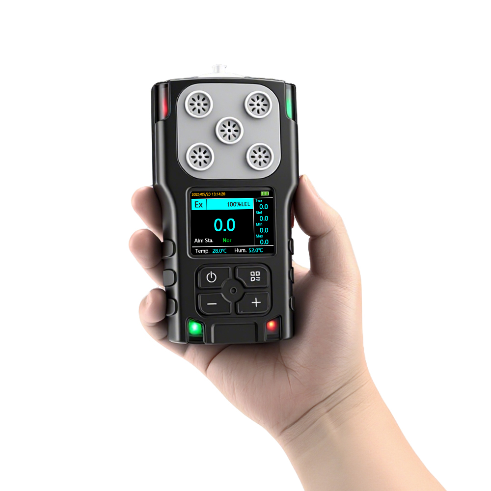 Portable-H2S-Gas-Detector-Front-Display-Handheld.jpg.jpg