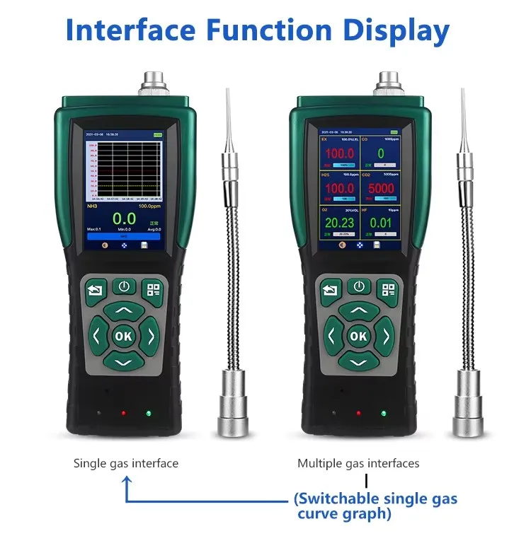 Oxygen monitor single gas and multi-gas display interface