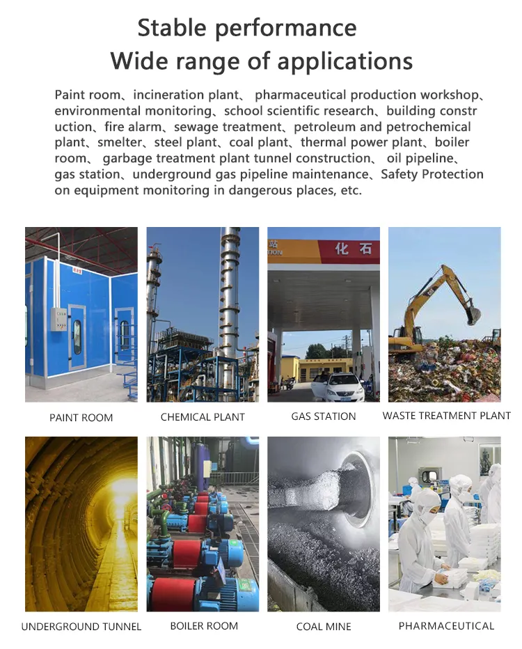 Industrial Gas Detector Applications