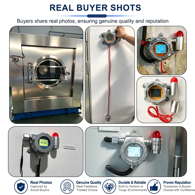 H2S Gas Detector Real Industrial Application