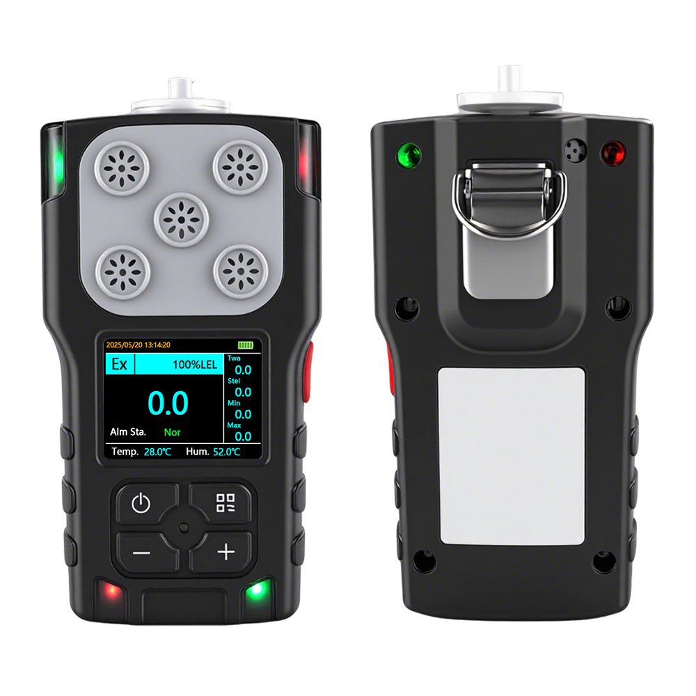 Portable H2 gas detector