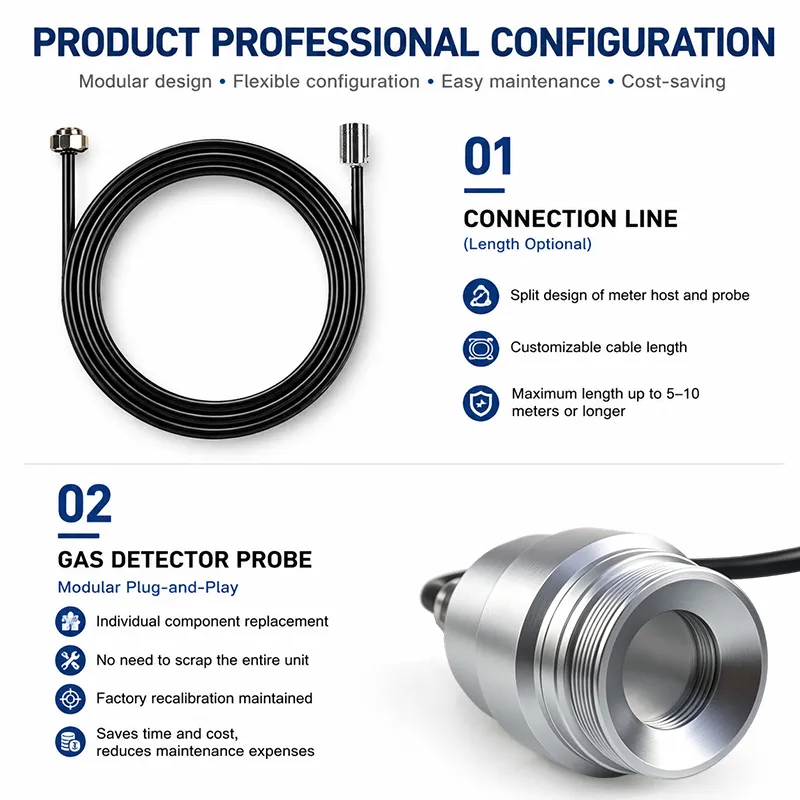 H2S Detector Custom Cable Features