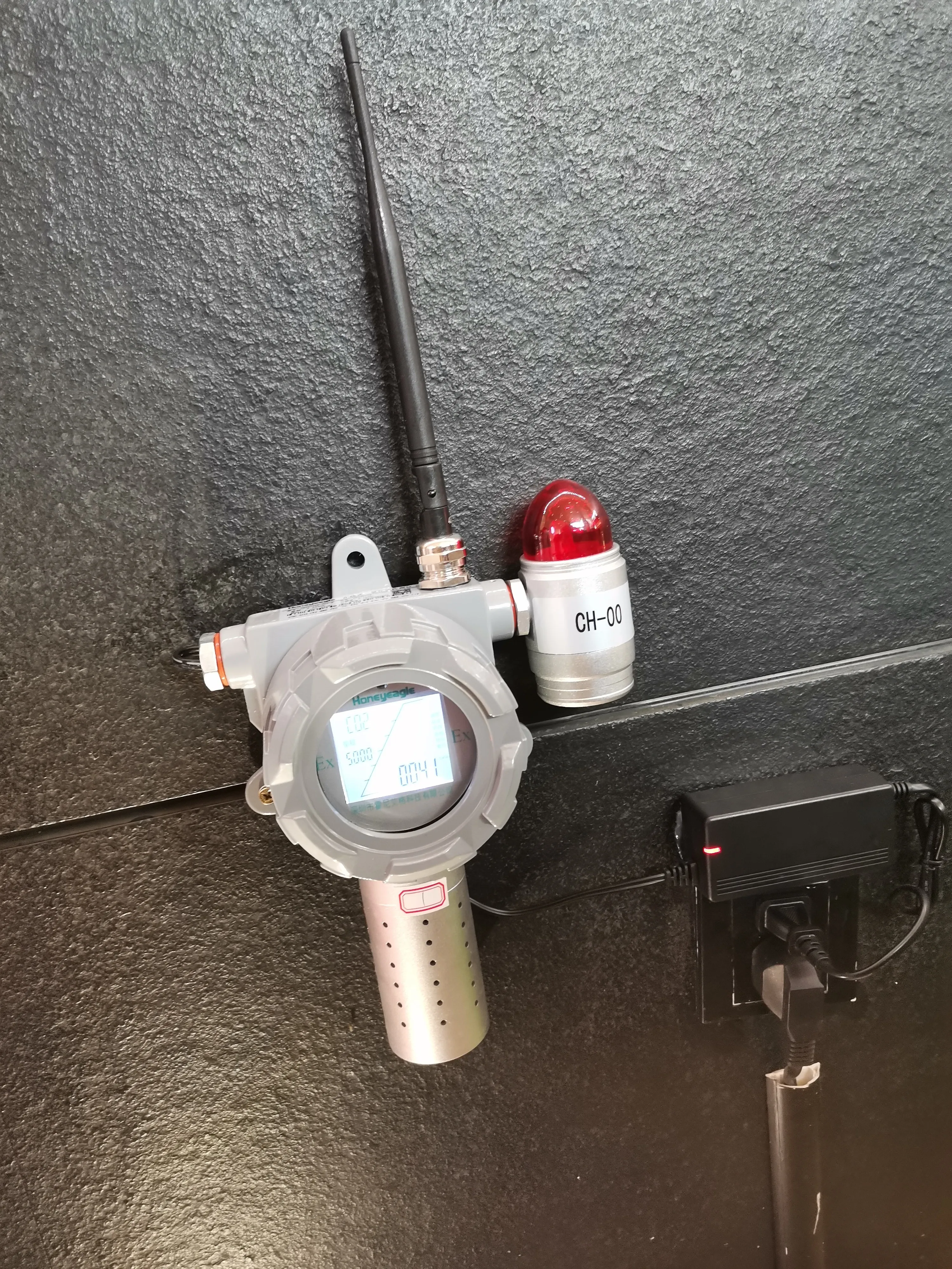 Case studies of indoor fixed gas detectors-Skyeaglee