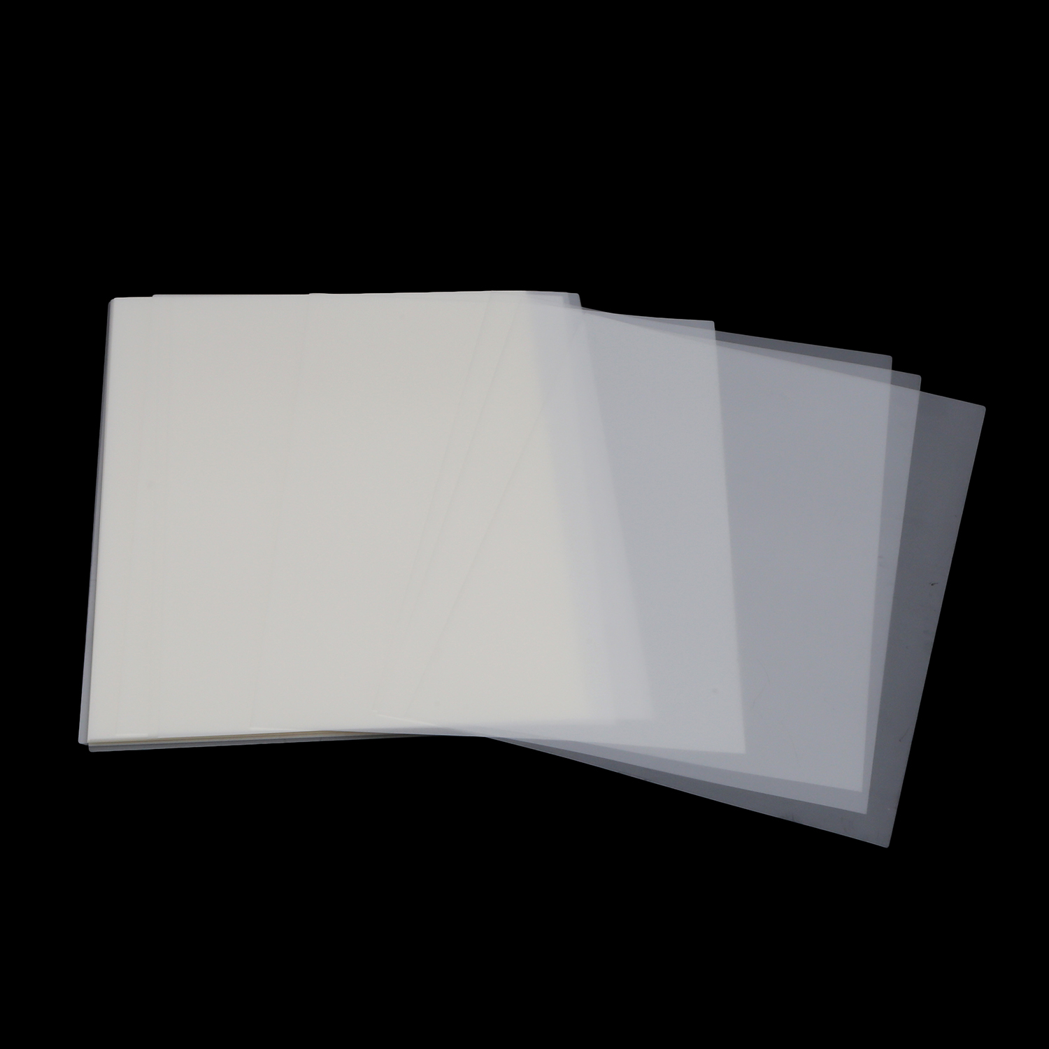 0O5B6548.jpg