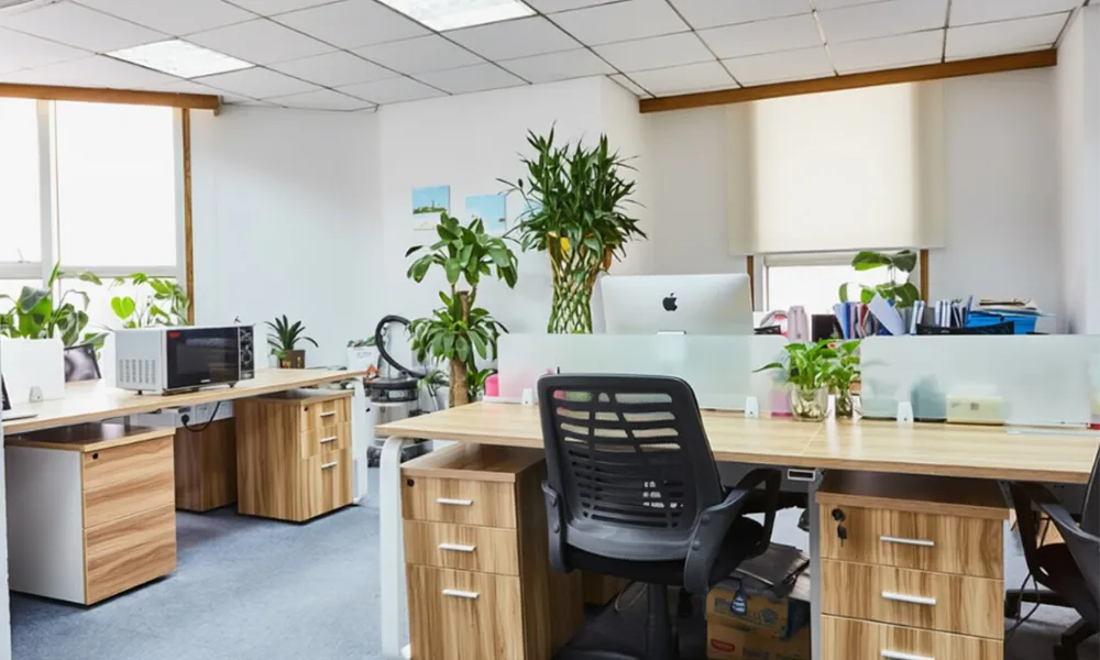 3_0019_办公环境2.jpg