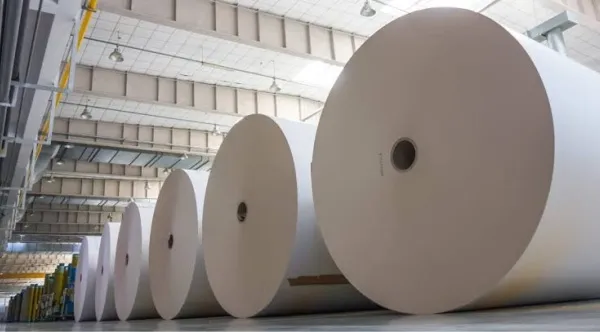 Pulp & Paper Industry.jpg
